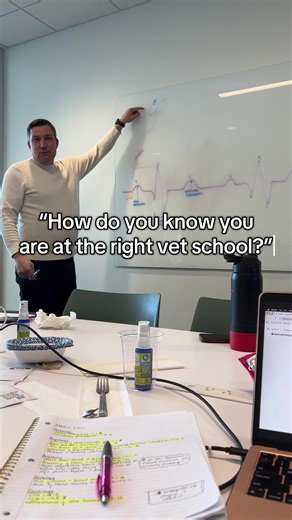 The Supportive Environment at SSVM Vet School