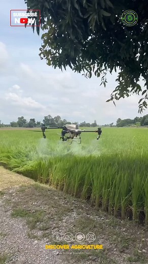 Agriculture drone spraying is revolutionizing the way farmers protect and nourish their crops. These precision technology devices can cover large areas in a short amount of time, reducing the need for manual labor and minimizing pesticide use. By utilizing drones for spraying, farmers are able to increase efficiency, save time and money, while also promoting sustainable farming practices. This innovative approach ensures that crops receive only the necessary treatments, resulting in healthier yi