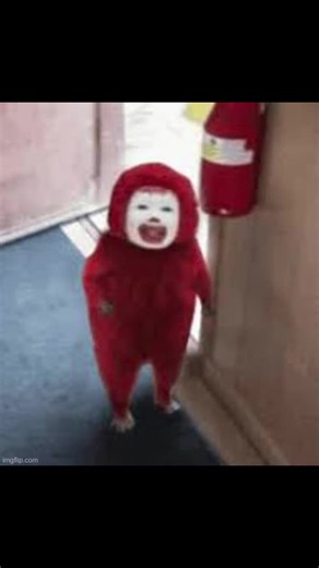 ʂσɳαƚα (@sonatacalico)’s videos with original sound - alpaca