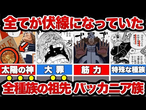【ワンピース】バッカニア族の正体！ワンピースに登場する特殊な種族を徹底解説！【ゆっくり解説】