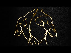 Gamma - Full Back Workout - With Ambient Gym Sounds - (Energetically Programmed)