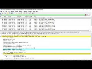 wireshark nmap sS
