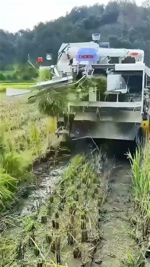 One Machine for Rice Cutting & Straw Baling—Max Efficiency!
