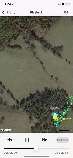 Beagle Hunting Dog Training Techniques