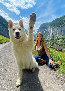 97K views · 9K reactions | 3 years ago I filmed Rasta the Swiss...