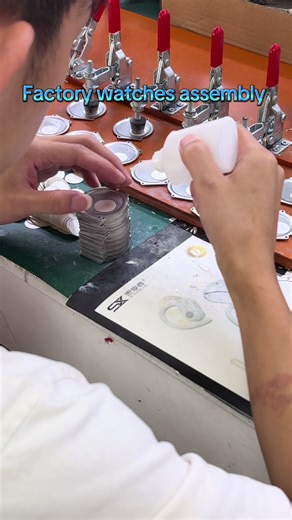 Factory Watches Assembly: Custom Logo Solutions