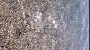 Clear sea water surface texture with light glares above pebble bottom. Transparent water ripples and waves in bright sunlight. Refraction of sun light at sea coastline