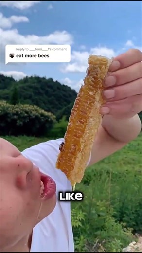 The Dangers of Eating Honeycomb‼️