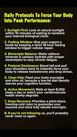 Daily Protocols to Force Your Body Into Peak Performance