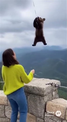 flying bear with a balloon#littleworld #viral #magic