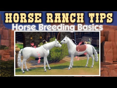 Sims 4 Horse Ranch Tip: How to Breed Horses (The Basics) 🐎