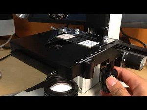 AmScope Double Layer Mechanical Stage