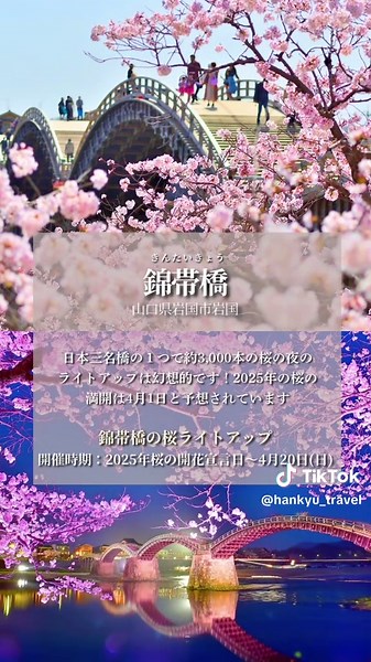 3月下旬～4月上旬に に見れる桜とイベント！🌸 桜の名所！2025年版！Part4 おすすめ5選！西日本編✈️ #造幣局 #吉野山 #紫雲出山 #錦帯橋 #垣生公園 #桜 #お花見 #阪急交通社 #阪急交通社tiktok