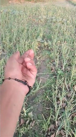 subscribe for more,🙏👍👍👍👍👍