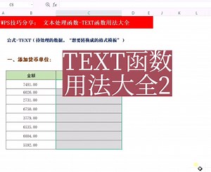 TEXT函数用法大全2