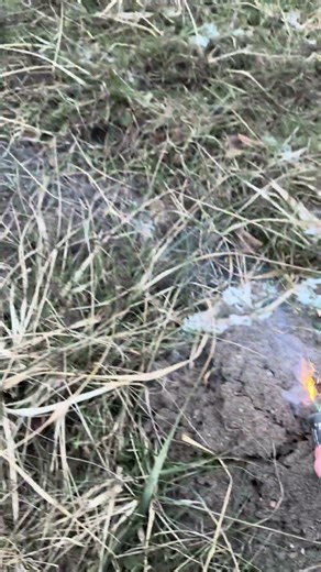 Mini Dum Bum #pyro #firecracker #shorts