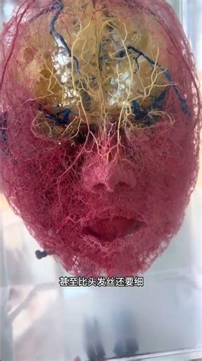 揭秘魅力：自然之美如何令人着迷