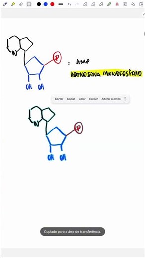 Vestibular: AMP, ADP e ATP