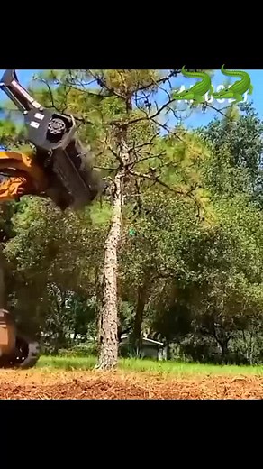 Excavator Techniques in Forest Clearing Operations