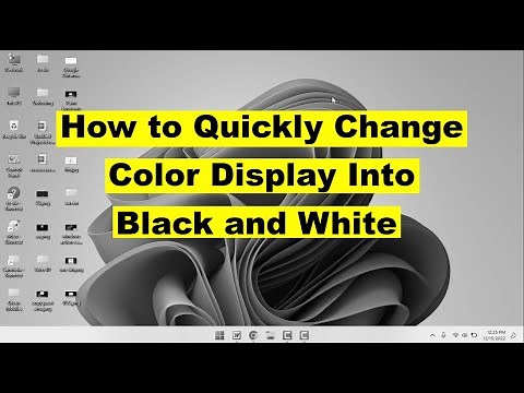 How to Turn Color Display into Black & White Using a Shortcut Key in Windows 11/10
