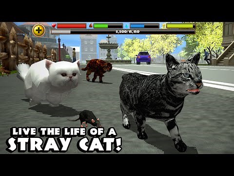 Stray Cat Simulator Android Gameplay [HD]
