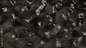 Water forming cymatic patterns and reflecting light. Fluid surface under influence of acoustic frequency. Physical phenomenon between frequency, vibration and liquid.