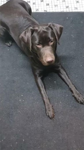 Arbeiten mit dem Futterbeutel - im Haus