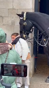6.8K views · 89 reactions | #KingsGuard, #RoyalGuard, #PalaceGuard, #CeremonialGuard, #BearskinHat, #BritishGuard, #RoyalFamily, #Monarch, #GuardDuty, #RoyalProtection, #MilitaryCeremony, #HistoricUniform, #LondonGuard, #BuckinghamPalace, #RoyalWatch, #SovereignGuard, #EliteForce, #GuardChange . | king royals Guards s | Facebook
