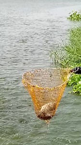 salapa ng isda | W Bush Tv