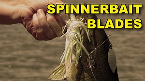 Spinnerbait Blade Types