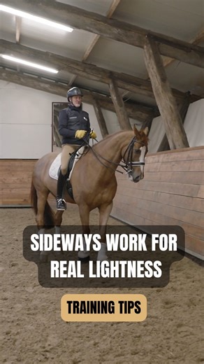 RS Riding | This sideways leg aid is not about forcing bend, it’s about teaching the horse to carry himself. By allowing the legs to step sideways,... | Instagram