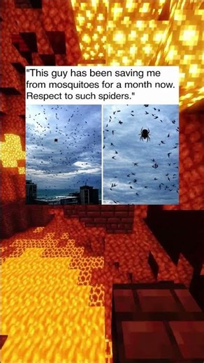 Plot Twist The Spider Is Thanking Him 🤯