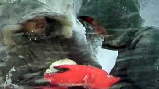 Doctor Who S13E21 The Seeds of Doom Pt 1 - (1963)