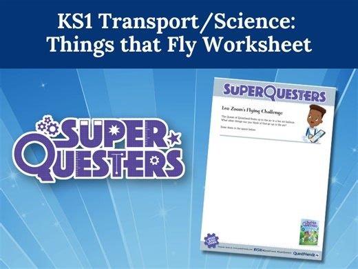 KS1 Transport/Science: Things that Fly Worksheet | Teaching Resources
