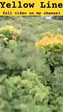 This is what it feels like to fly in a wingsuit - would you try it?