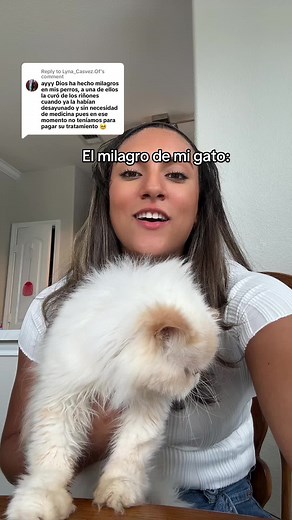 daniella goodridge on TikTok