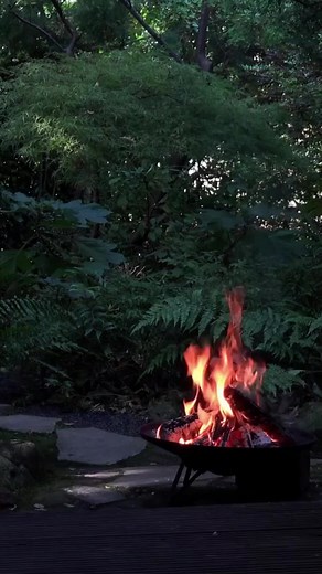 Burning Forest Live Wallpaper