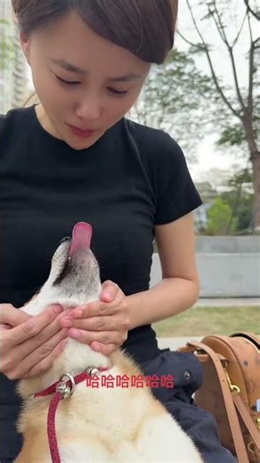 Master New Online Hacks Without Judgment PetSkills TechTrends