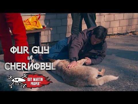 The Dogs of Chernobyl - Our Guy In Chernobyl - Guy Martin Proper