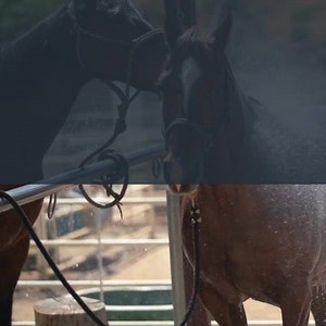 5.7K views · 136 reactions | Looking to Soften Hard Water for stock...