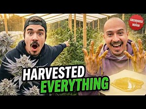 We Harvested Everything (Greenhouse & Indoor Update)