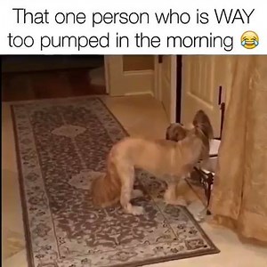 61K views · 645 reactions | Lena Sledge on Reels | Facebook