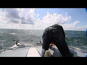 Irrer Weltrekord im Windsurfen - Flessner stellt Weltrekord auf - SPORT1