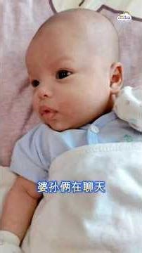 Baby talk l Popo and En En chatting together