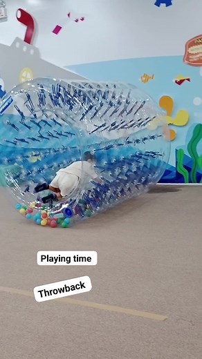 12 reactions · 22 comments | Playing time #playing #playtime #FYI #nonfollowersviewers #followerseveryone #followersreelsfypシ゚viralシfypシ゚viralシ # | Rina&Matt simple life | Facebook