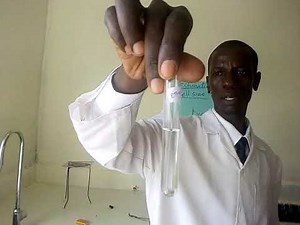 Practical Lesson 14: Test for fats (Oil emulsion method)