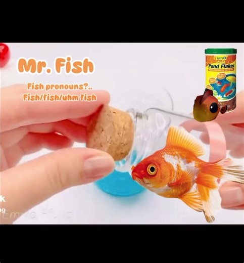 Really crappy video 🥹 #fish #uhmyeah #fypシ #fypシ #yeah | fish videos