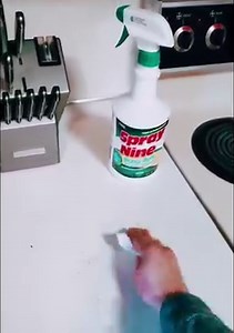 24 reactions | With Spray Nine, you can easily kill mold, mildew, and bacteria on everyday surfaces. What will you disinfect this spring?  | Spray Nine | Facebook