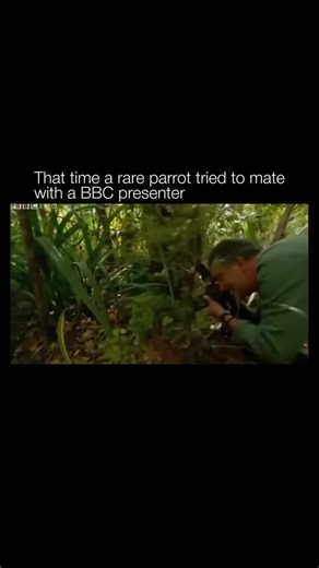 🧐 The BBC (British Broadcasting Corporation) is the United Kingdom’s public service broadcaster, founded in 1922. It operates under a royal charter and is primarily funded by the UK television licence fee, which allows it to remain independent from commercial advertising and government influence in its editorial decisions. The BBC produces a wide range of content across television, radio, and digital platforms, including news, documentaries, drama, comedy, educational programming, and cultural 