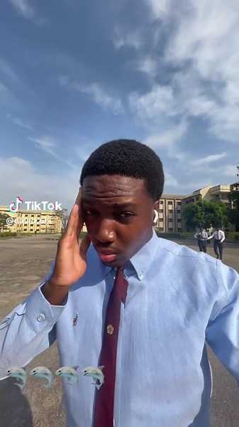 Exploring Shark Season: Majestic Sea Predators